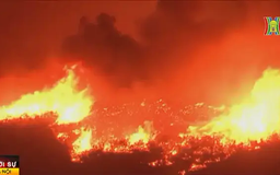 Bùng phát đám cháy mới tại bang California
