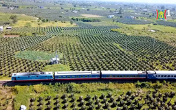 Lưu ý quan trọng khi di chuyển bằng tàu hỏa dịp Tết