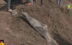 Nổ cơ sở vũ khí ở Ấn Độ, 8 người thiệt mạng