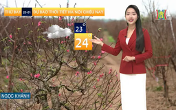 Dự báo thời tiết chiều | 25/01/2025