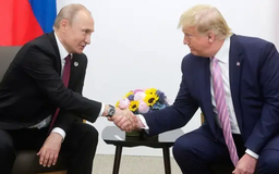 Ông Putin sẵn sàng đàm phán với ông Trump về Ukraine
