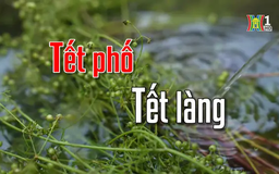 Tết phố Tết làng | Người Hà Nội | 26/01/2025