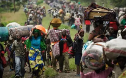 Đông Phi họp khẩn về tình hình Congo