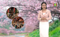 Dự báo thời tiết chiều | 27/01/2025