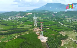 Đường dây 500kV mạch 3 - Cuộc hành quân Bắc tiến | Phóng sự tài liệu | 29/01/2025