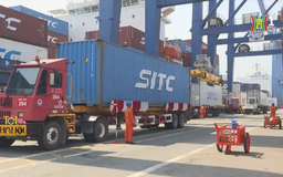 Hải quan TP.HCM đảm bảo xuất nhập khẩu thông suốt dịp Tết