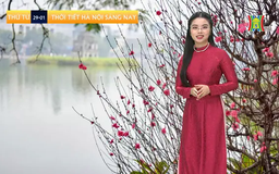 Dự báo thời tiết trưa | 29/01/2025