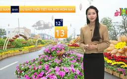 Dự báo thời tiết | 30/01/2025