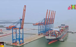 Xuất khẩu hàng hóa nhộn nhịp ngay những ngày đầu xuân