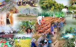 Những chính sách nổi bật có hiệu lực từ tháng 2/2025