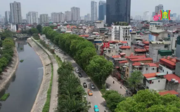 Cây xanh hồi sinh trong xuân mới | Phóng sự tài liệu | 31/01/2025