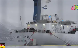 Na Uy bắt giữ tàu nghi làm đứt cáp biển Baltic