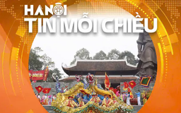 Lễ hội gò Đống Đa với quy mô lớn nhất từ trước tới nay | Hà Nội tin mỗi chiều