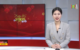 Chương trình Thời sự 11h30 | 02/02/2025