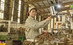 Niềm tự hào hàng Việt