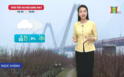 Dự báo thời tiết trưa | 02/02/2025
