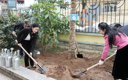 Hà Nội phát động nhiều 'Tết trồng cây' ý nghĩa