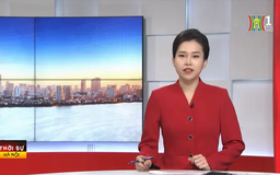 Chương trình Thời sự 11h30 | 03/02/2025