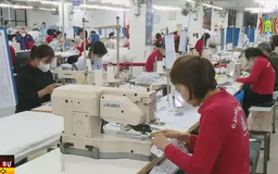 Tín hiệu tích cực từ những phiên sản xuất đầu năm