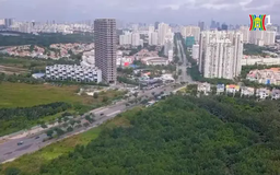 Giải pháp xây dựng đô thị xanh thông minh tại Việt Nam