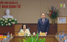 Chủ tịch Quốc hội làm việc với một số Ủy ban của Quốc hội