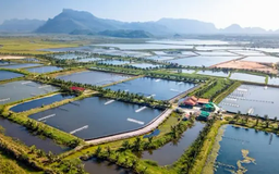 Đề xuất miễn, giảm tiền thuê đất cho dự án nông nghiệp