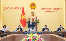 Thường vụ Quốc hội sẽ cho ý kiến về công tác nhân sự