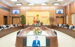 Sửa đổi Luật Tổ chức Chính phủ: Đẩy mạnh phân cấp, phân quyền