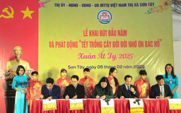 Sơn Tây hưởng ứng tích cực Tết trồng cây