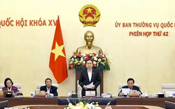 Chính phủ sau tinh gọn sẽ gồm 14 bộ và 3 cơ quan ngang bộ