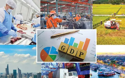 Thủ tướng đôn đốc thực hiện nhiệm vụ trọng tâm 2025