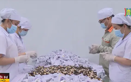 Doanh nghiệp TP.HCM tất bật lo đơn hàng đầu năm