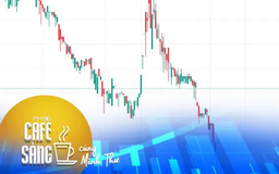 Cổ phiếu TMT khởi sắc bất chấp kinh doanh bết bát