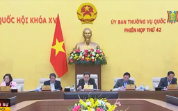 Xem xét sửa đổi một số điều Luật Tổ chức Quốc hội