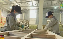 Nhiều doanh nghiệp kín đơn hàng đến hết Quý I/2025