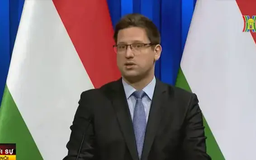 Hungary cân nhắc rút khỏi WHO
