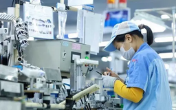 Doanh nghiệp xuất khẩu trước tác động chính sách thuế của Mỹ
