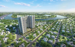 Hải Phòng thanh tra loạt dự án nhà ở xã hội