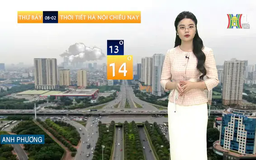 Dự báo thời tiết chiều | 08/02/2025