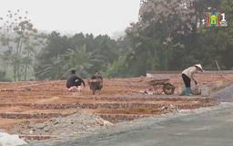 Thị trường đất nền khó bứt phá trong ngắn hạn