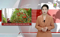 Ứng dụng công nghệ trong ngành nông nghiệp | Nhìn ra thế giới | 08/02/2025
