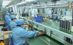 Gần 10.700 doanh nghiệp thành lập mới trong tháng 1/2025