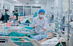 Khí hậu ẩm thấp, nguy cơ gia tăng dịch bệnh