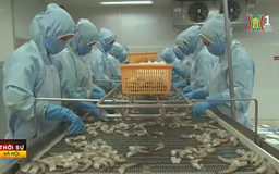 Xuất khẩu nông, lâm, thuỷ sản suy giảm