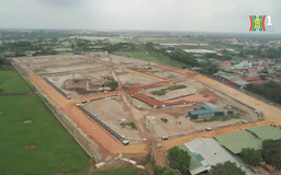 Bảng giá đất mới: Cơ sở cho công tác đấu giá đất