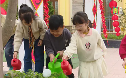 Trường học xanh: Bước đột phá trong giáo dục bền vững | Giáo dục và Đào tạo | 09/02/2025