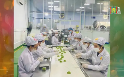 Vượt qua 'khủng hoảng bánh cốm Hàng Than' | Con đường doanh nhân | 09/02/2025
