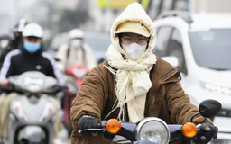 Chủ động ứng phó đợt rét đậm, rét hại kéo dài