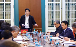 Văn phòng Chủ tịch nước không tổ chức cấp phòng trong vụ