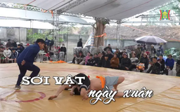 Sới vật ngày xuân | Nhịp sống Hà Nội | 11/02/2025